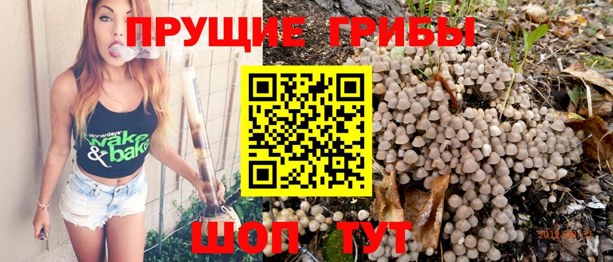 купить  цена  Псилоцибиновые грибы Psilocybine cubensis  Вход с VPN  Соль-Илецк  Псилоцибиновые грибы Cubensis 